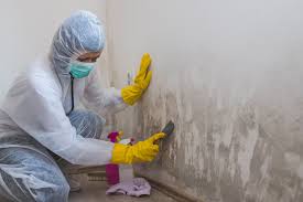 Best Mold Prevention Services  in Glasgow Village, MO